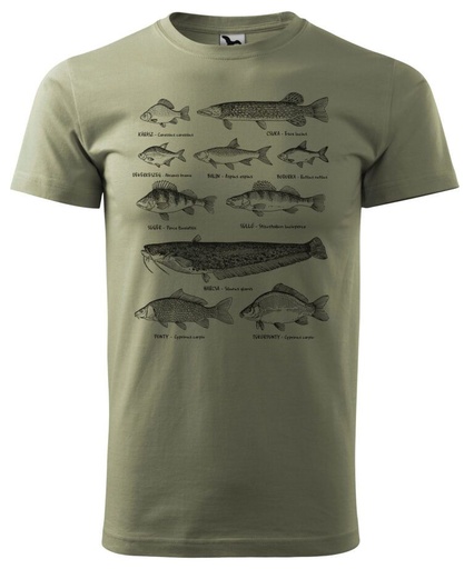 Férfi póló sokhalas